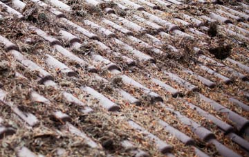 Townsend Fold roof cleaning companies