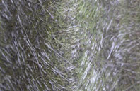 Townsend Fold fibreglass roof work